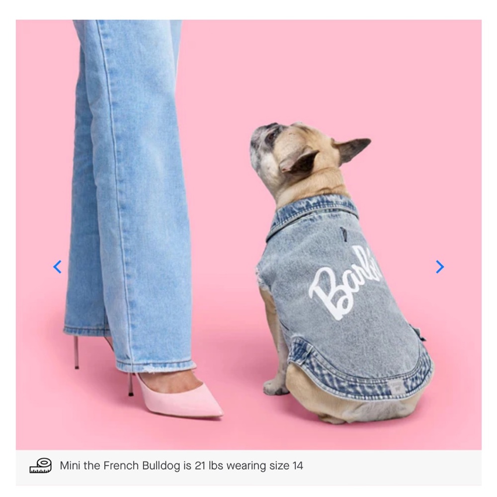 BARBIE x CANADA POOCH DENIM VEST
